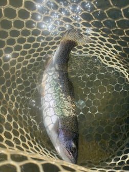 Fishing in Broken Bow, Oklahoma