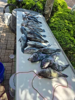 Fishing in St. Marys, Georgia