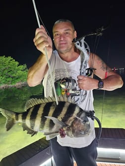 Fishing in Tampa, Florida