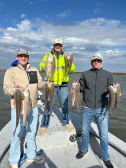 Fishing in Lake Charles, Louisiana