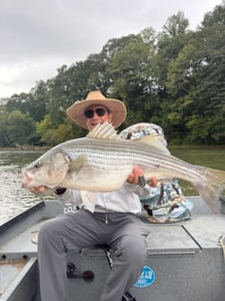 Fishing in Roswell, Georgia