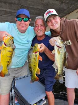 Fishing in Fort Lauderdale, Florida