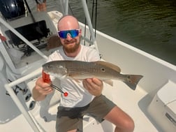 Fishing in St. Petersburg, Florida