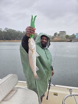 Fishing in Crawfordville, Florida