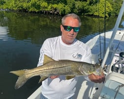 Fishing in St. Petersburg, Florida
