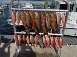 Fishing in Panama City Beach, Florida