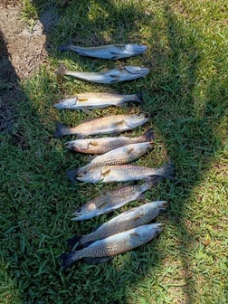 Fishing in Port Charlotte, Florida