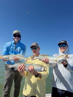 Fishing in Tampa, Florida