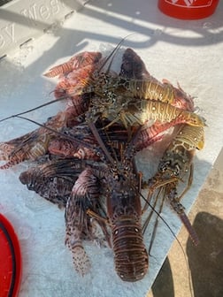 Fishing in Key West, Florida