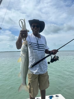 Mangrove Snapper, Speckled Trout Fishing in Key Largo, Florida