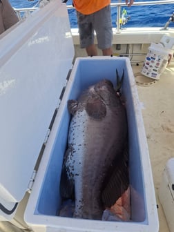 Fishing in South Padre Island, Texas