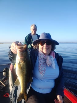 Fishing in Windermere, Florida