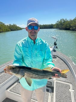 Fishing in Marco Island, Florida