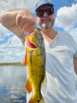 Fishing in Fort Lauderdale, Florida