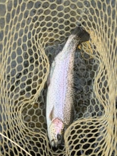 Fishing in Broken Bow, Oklahoma
