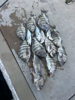 Fishing in Port Orange, Florida