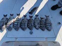 Fishing in New Smyrna Beach, Florida