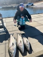 Fishing in Rogers, Arkansas