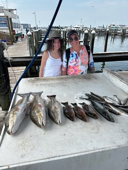 Fishing in Orange Beach, Alabama