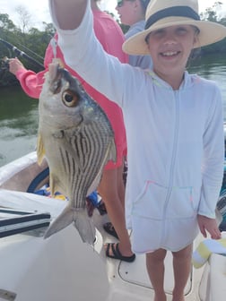Fishing in Fort Myers Beach, Florida