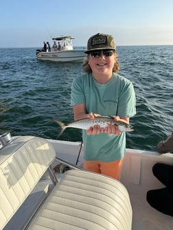 Fishing in Gulf Shores, Alabama