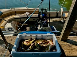 Fishing in Alba, Texas