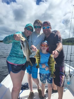 Fishing in Dorado, Puerto Rico