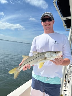 Fishing in Sarasota, Florida