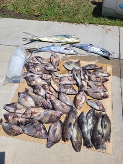 Fishing in Wrightsville Beach, North Carolina