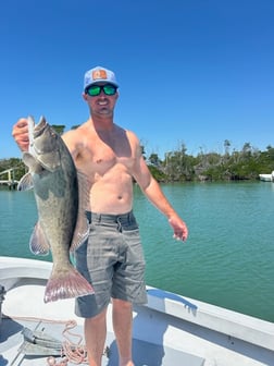 Fishing in Saint James City, Florida