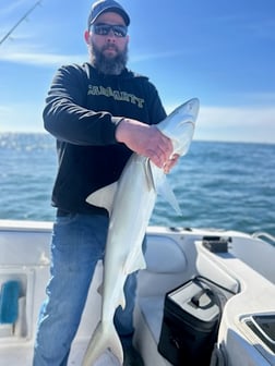 Fishing in Port Orange, Florida