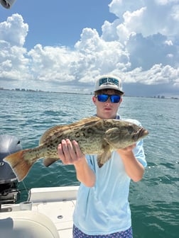 Fishing in Largo, Florida