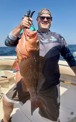 Fishing in Shalimar, Florida