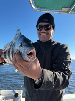 Fishing in Jacksonville, Florida