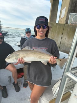 Fishing in Orange Beach, Alabama