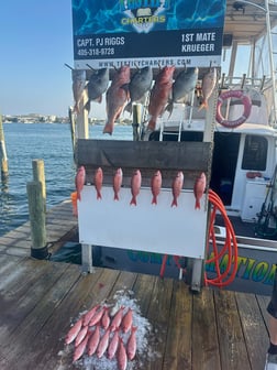 Fishing in Destin, Florida