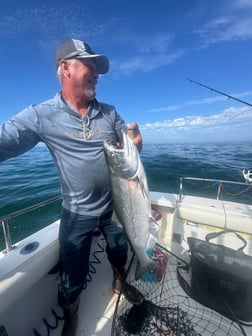 Fishing in San Francisco, California