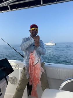 Fishing in Weslaco, Texas