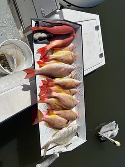 Fishing in Port Orange, Florida