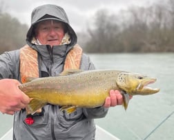 Fishing in Roswell, Georgia