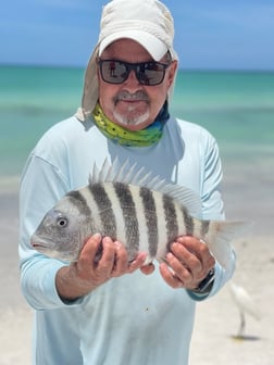 Fishing in Sarasota, Florida
