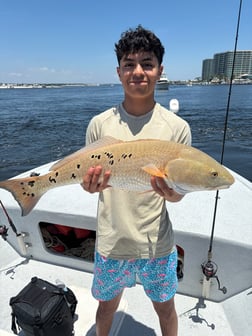Fishing in Orange Beach, Alabama