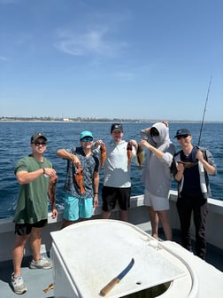 Fishing in Marina del Rey, California
