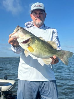Fishing in Athens, Texas