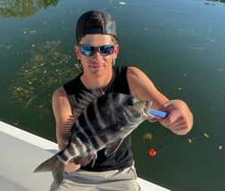 Fishing in St. Petersburg, Florida