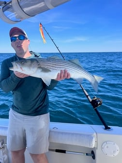 Fishing in Dennis, Massachusetts