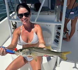 Fishing in Tampa, Florida