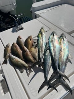 Fishing in Islamorada, Florida