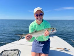 Fishing in Gulf Breeze, Florida