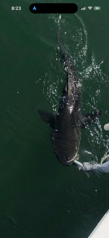 Fishing in Virginia Beach, Virginia
